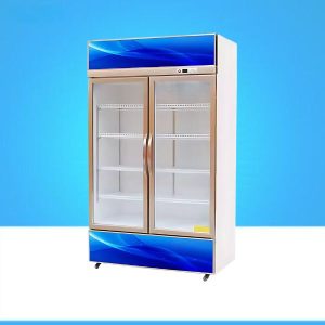 Vertical Refrigerator for Beverage