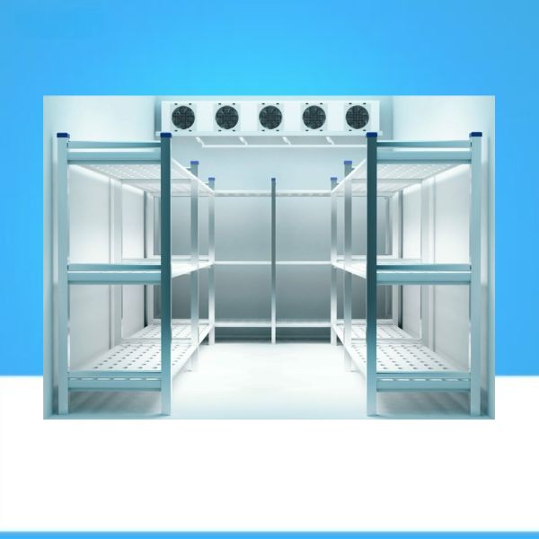 Untitled design - 2025-03-11T152058